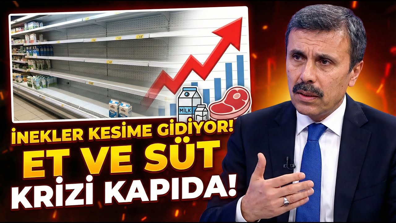 İnekler Kesime Gidiyor Et ve Süt Fiyatları PATLAYACAK!