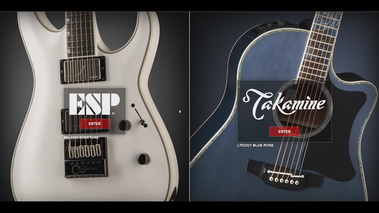 Best New ESP Guitar 2021?