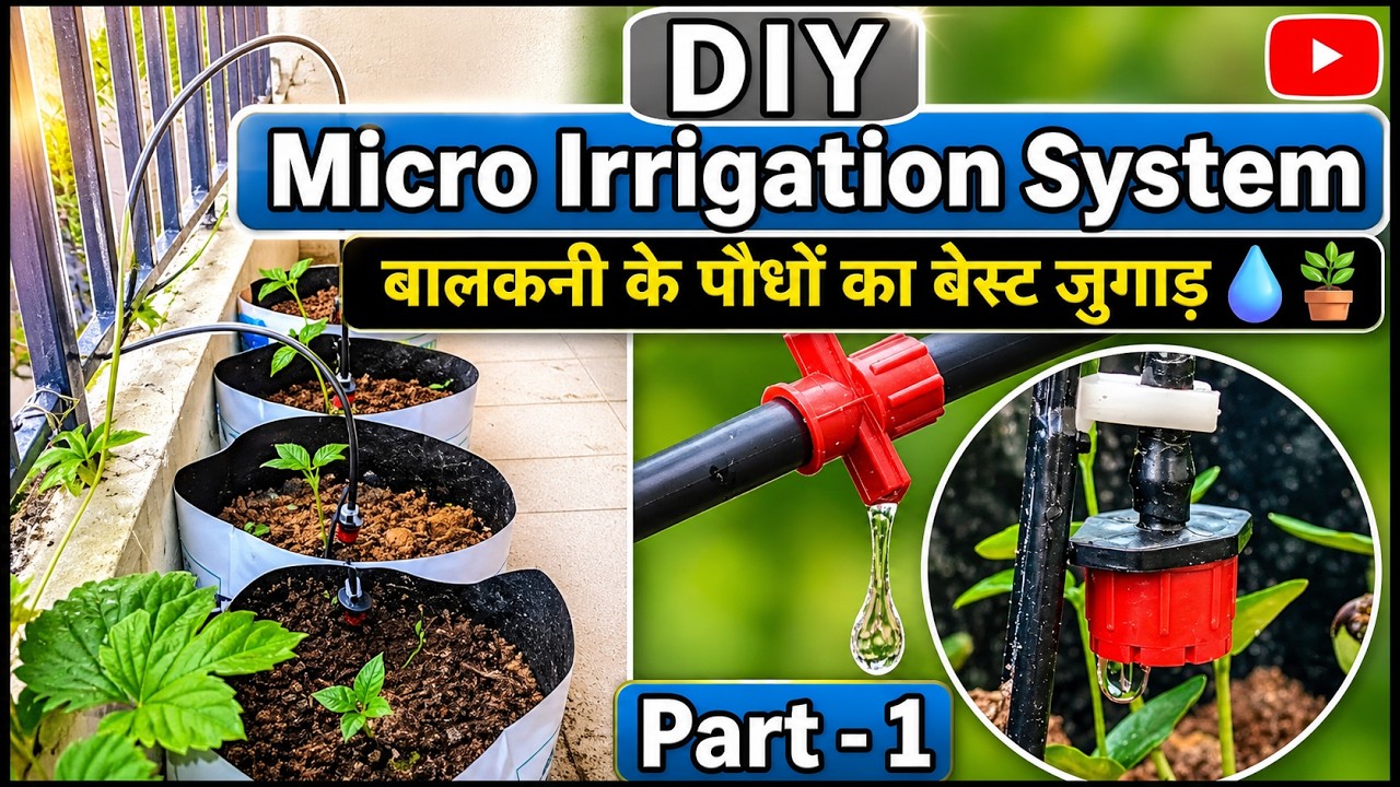 DIY Micro Irrigation System for Balcony Plants | Easy Automatic Watering at Home
