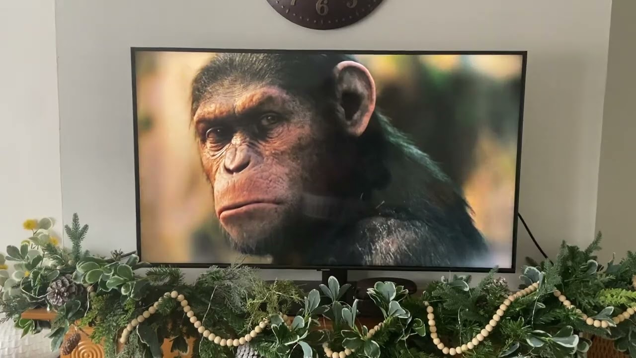 Opening To The Planet Of The Apes Trilogy DVD