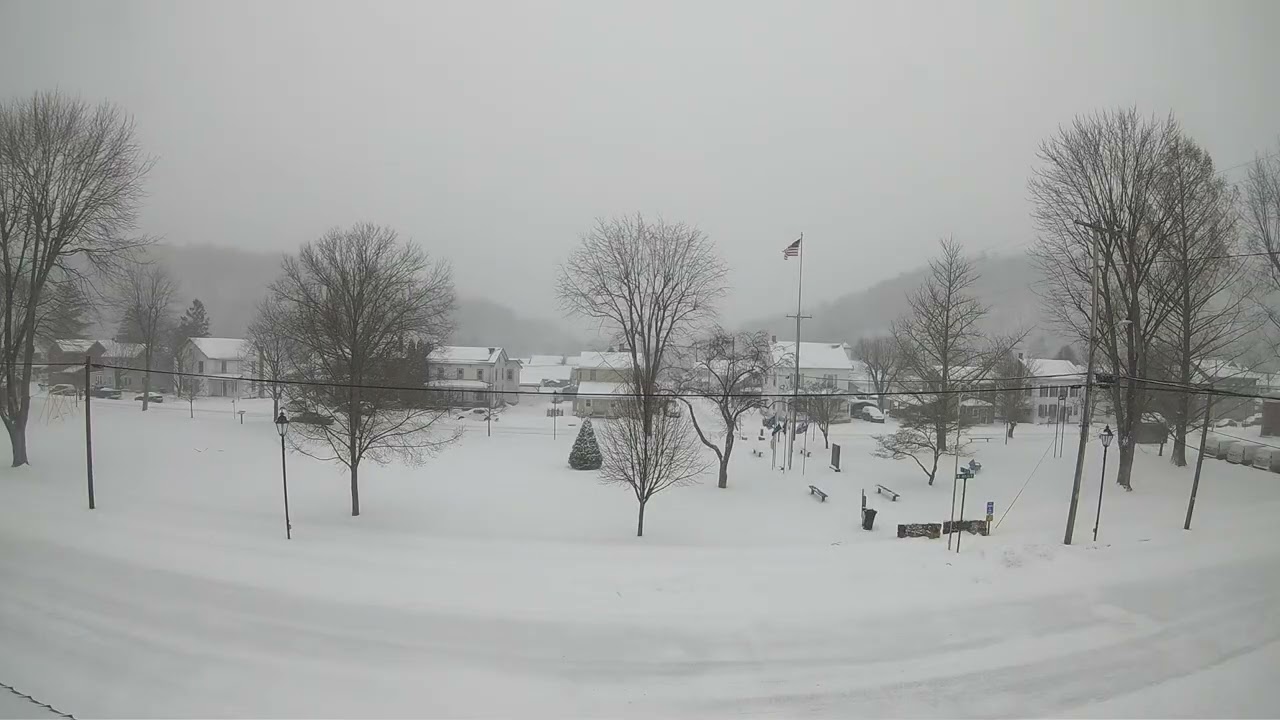 Snow in the Park