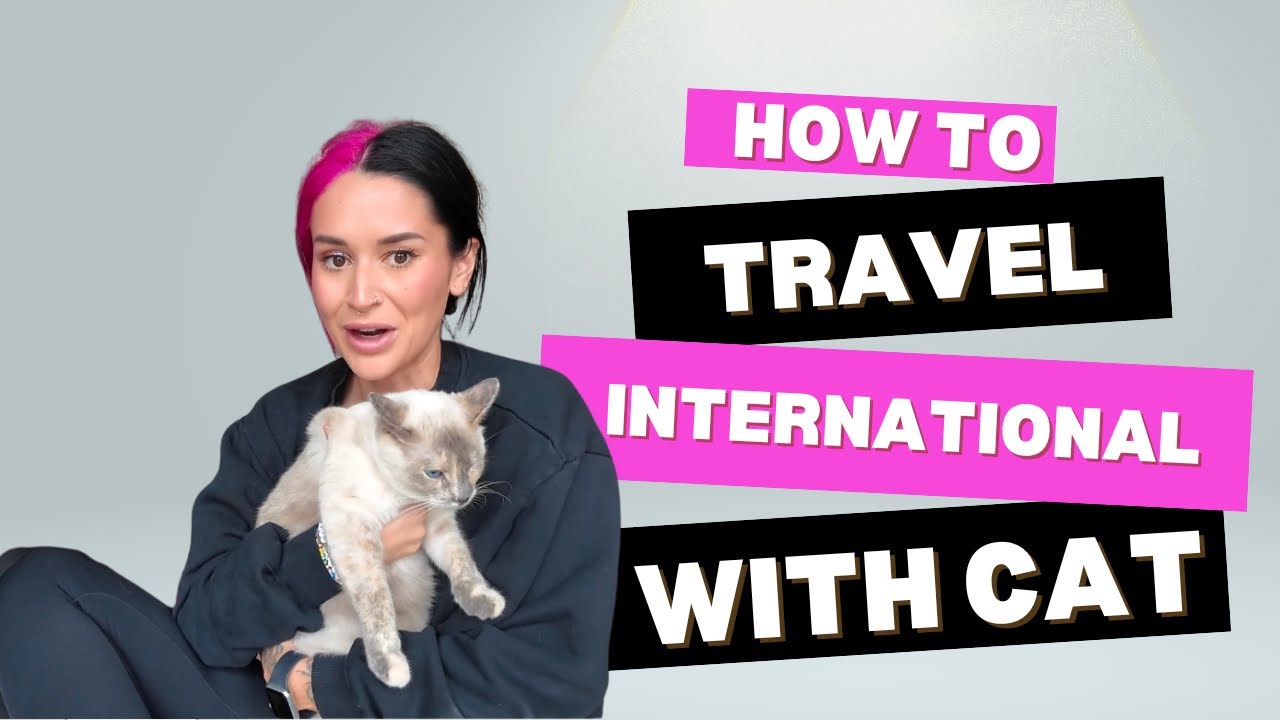 Flying With Cats: What’s in My Carry-On for a 10-Hour Flight to Portugal