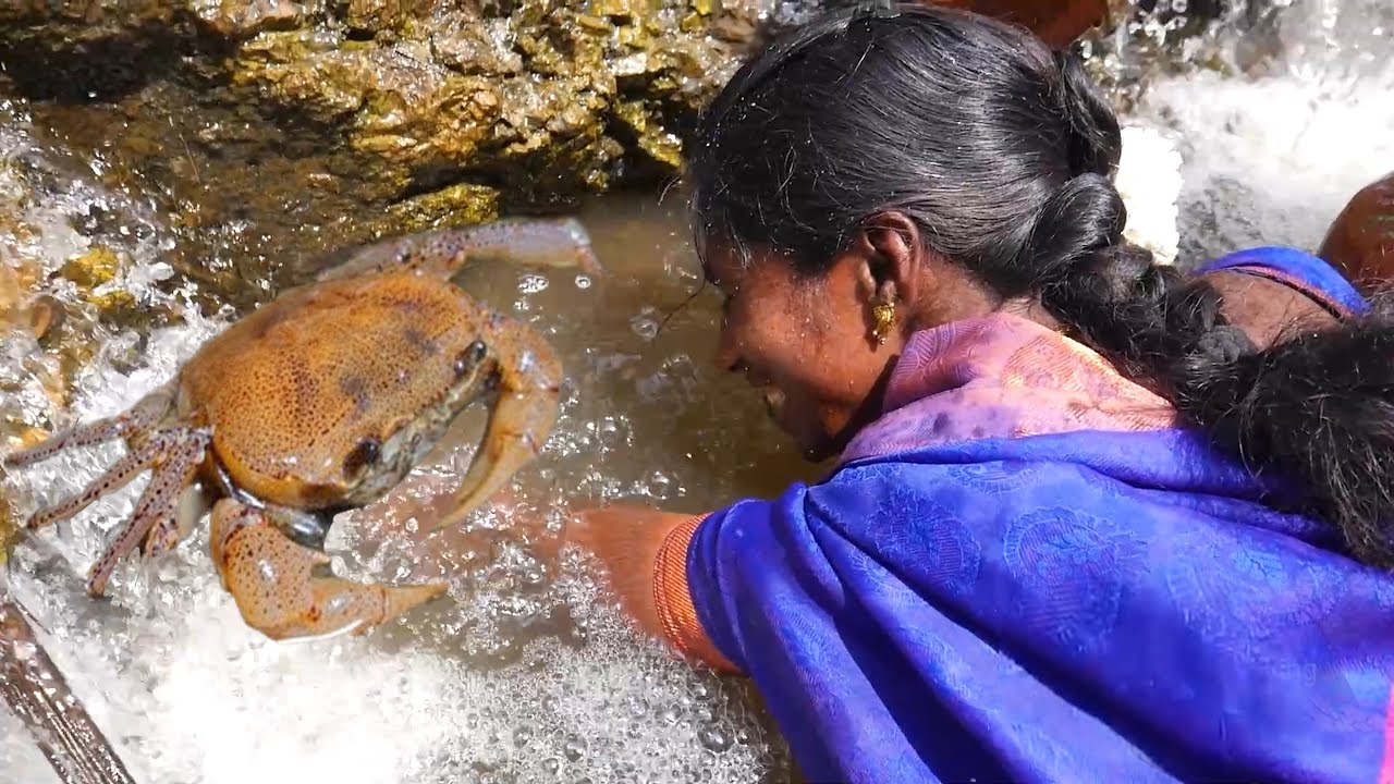 Country Crab Catching In Village | Village Super Cooking