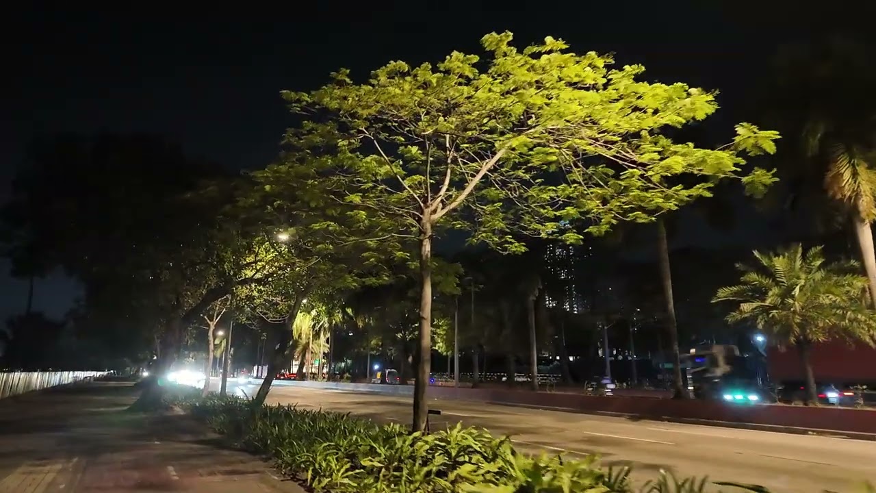 DJI 20121225180923 0026 D