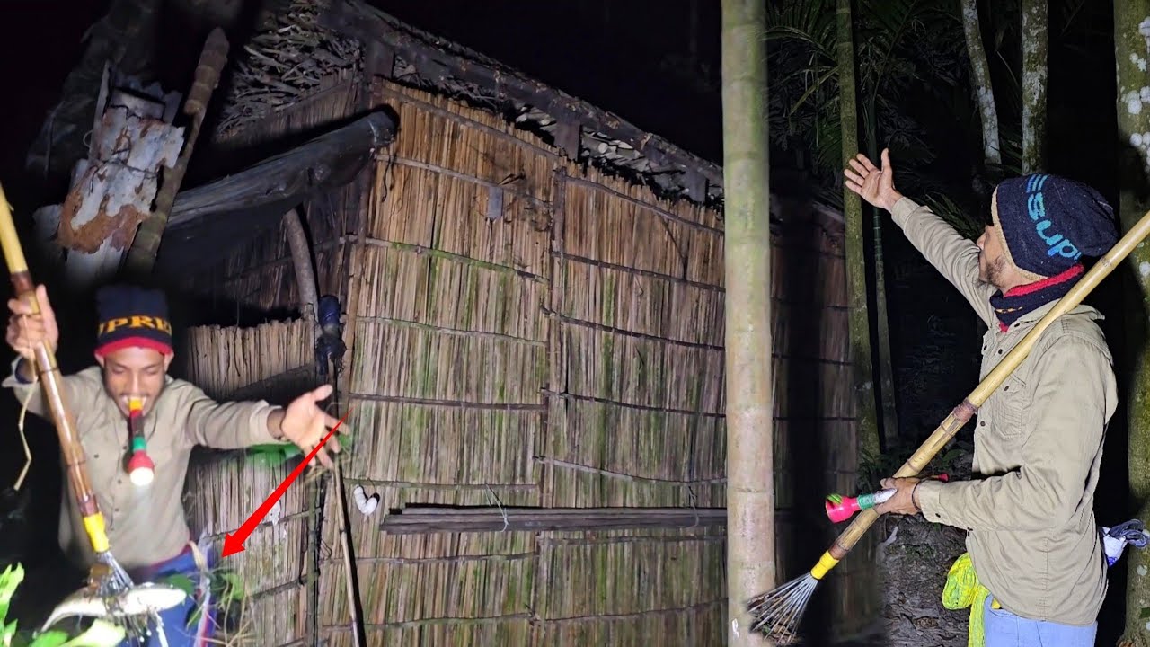 রাতের গ্রামবাংলা | কোচ দিয়ে মাছ শিকার | Traditional Night Fishing in Village।