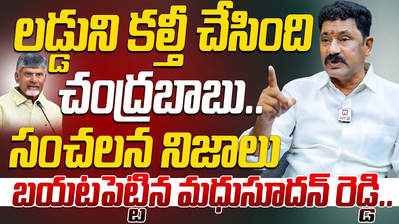 లడ్డు ని కల్తీ చేసింది చంద్రబాబు..🔥 | YSRCP Madhusudan Reddy Sensational Comments On Chandrababu