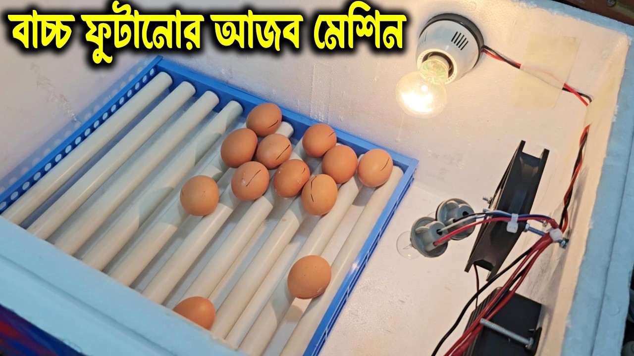 অটো রোলার টার্নিং ইনকিউবেটর  || এবার ডিম থেকে বাচ্চা ফুটানো হবে আরোও সহজ ও ঝামেলামুক্ত