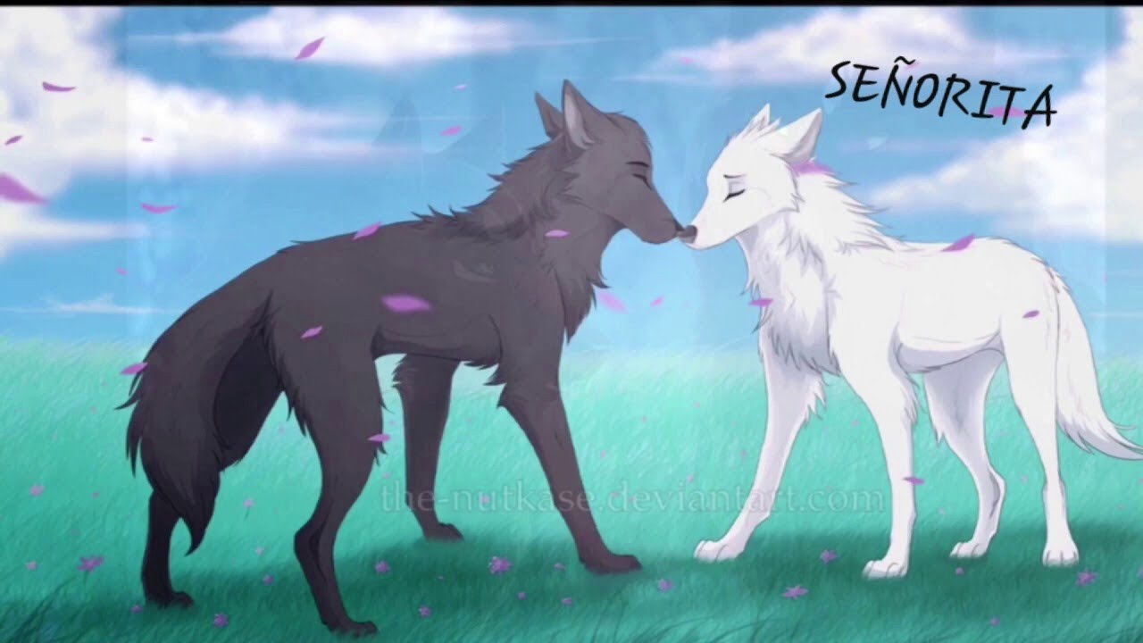 Anime Wolves \❤Señorita❤\