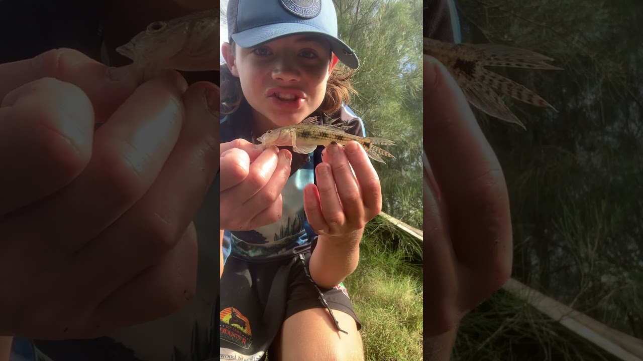 #fishinggoals #fishingdaily #fishing #fish #bassmaster #fishingsetup #fishingaustralia #bass