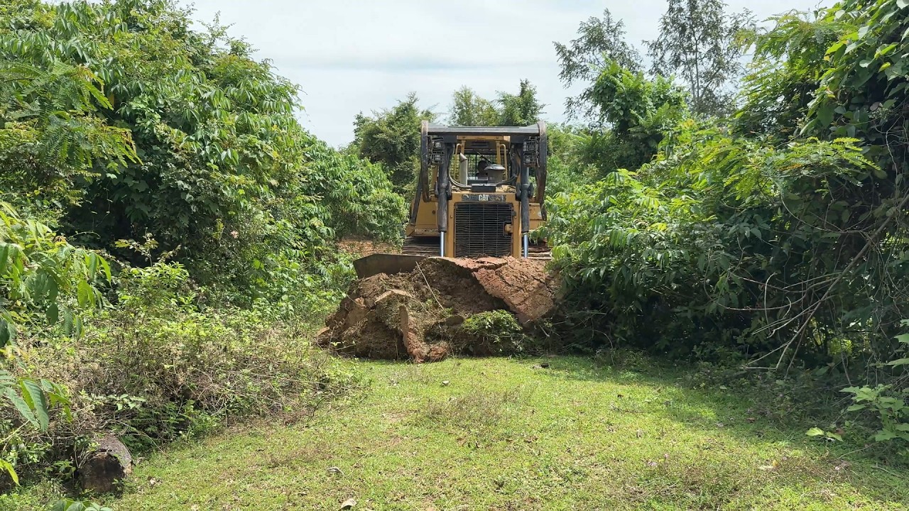 The Role of the D6R XL Bulldozer in Plantation Road Service Infrastructure