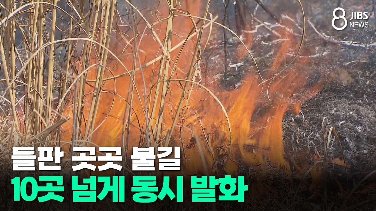 들판 곳곳 불길... 10곳 넘게 동시 발화/JIBS/제주/2026.02.23