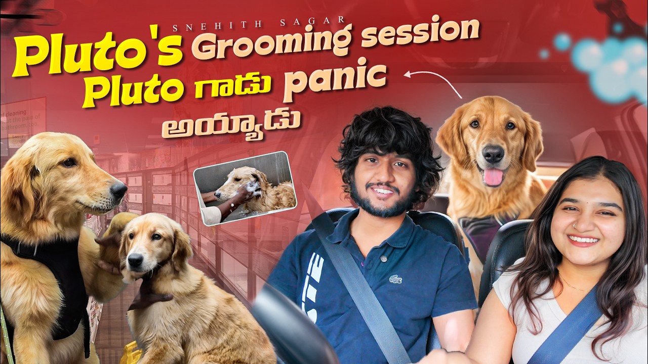 Pluto గాడిని Grooming ki తీసుకెళ్లాం!🫧 Panic aiyipoyadu 😟 I SNEHITHSAGAR #cute #couple #pets #telugu