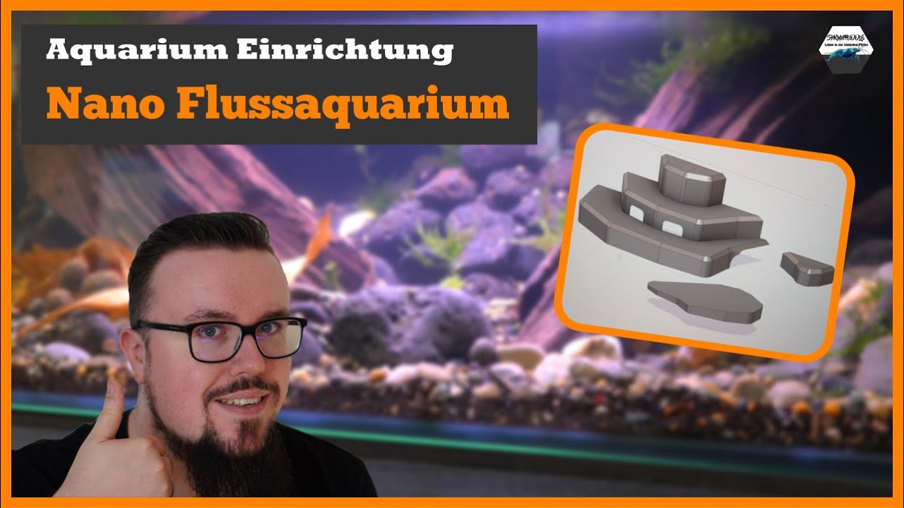 Das kleinste Flussaquarium der Welt?
