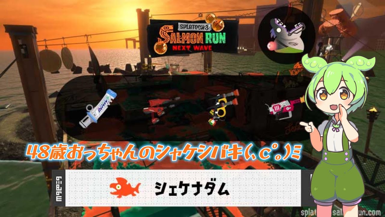 【サモラン】ダムも苦手なんだよね～(､ｃﾟ｡)ﾐ【スプラ３】