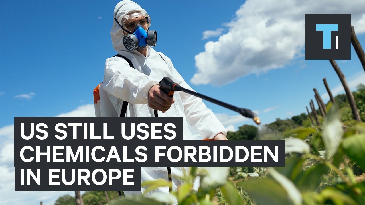 Europe has banned hundreds of chemicals that the US still uses