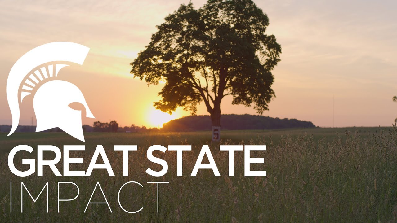 Great State Impact | Michigan State University