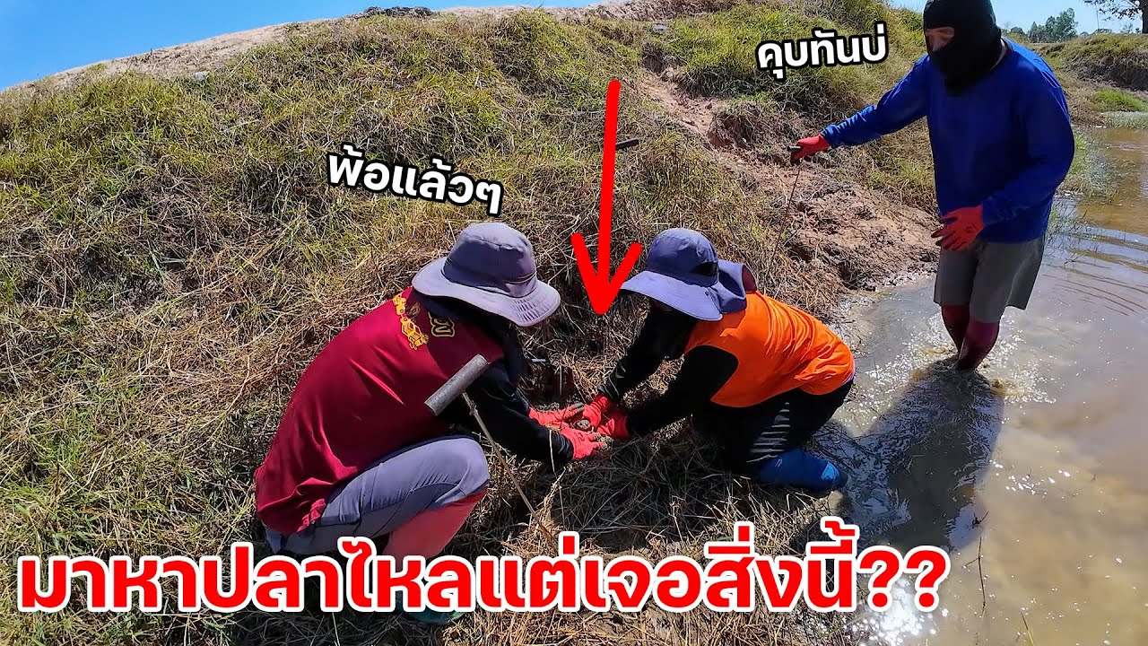 ช็อตเด็ด!! รวมทีมออกหาปลาไหล หมานเกินคาด