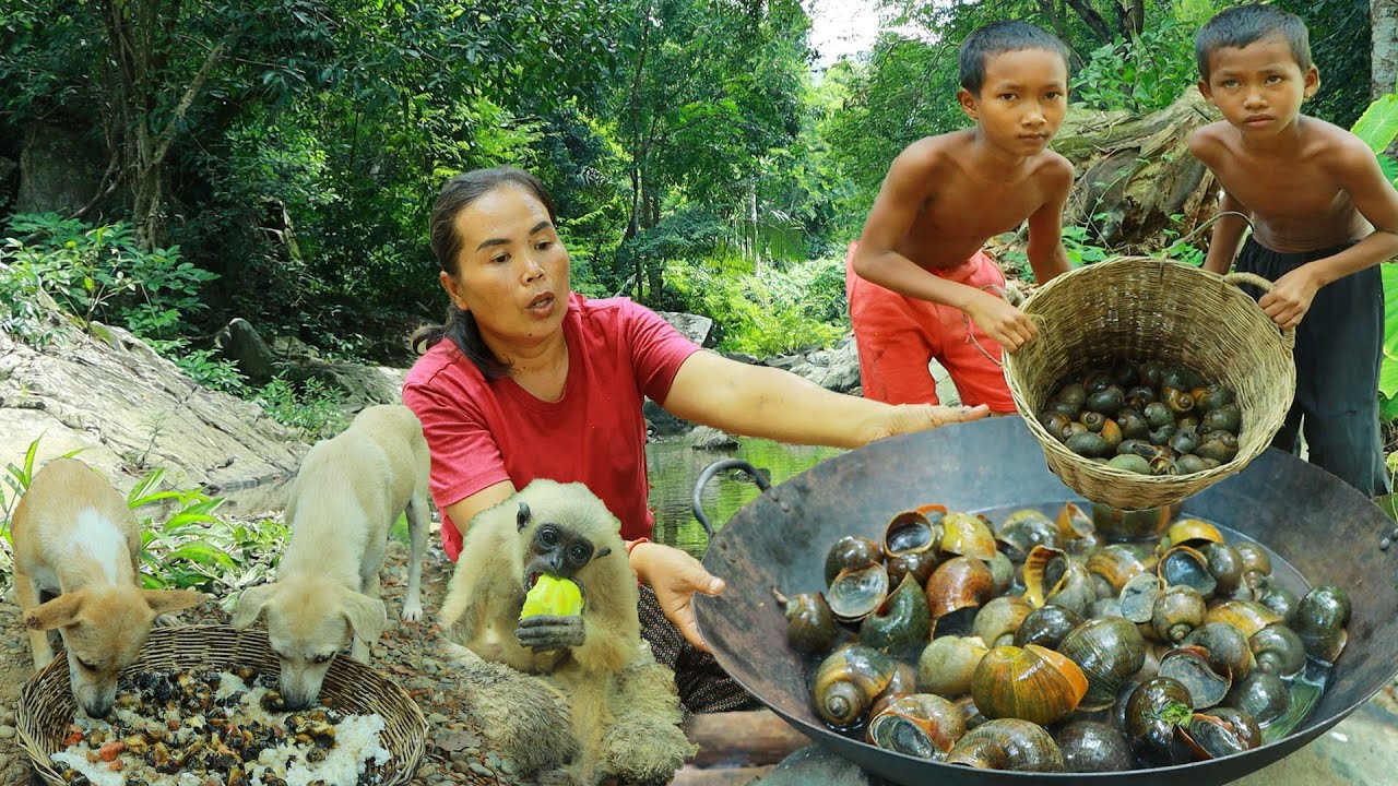 survival in the rainforest-found snails with guava for cook & eat with twos boy