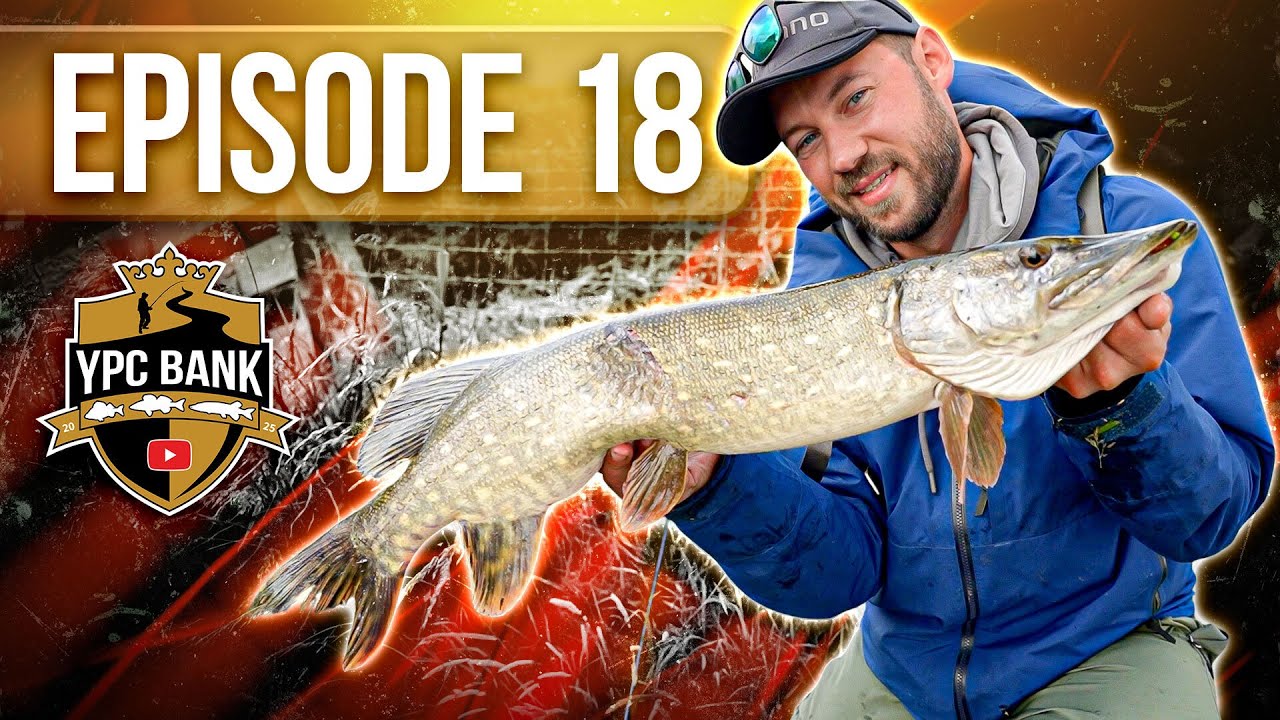 Kostet dieser MEGA-PATZER das Finale? | YPC Bank 2025 Episode 18
