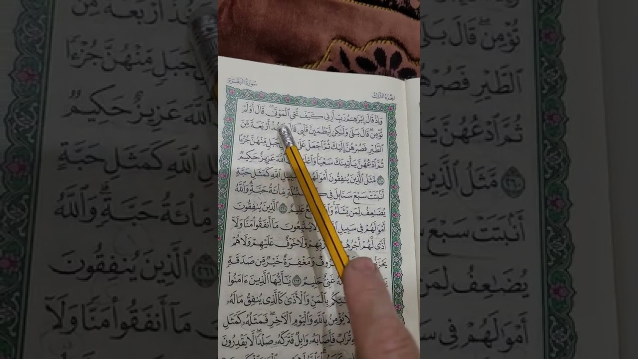 روابط سورة البقرة صفحة (٤٤)