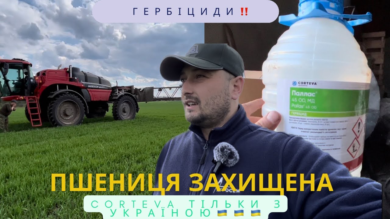 Гербіцидний захист пшениці‼️ наш варіант. #corteva #палас