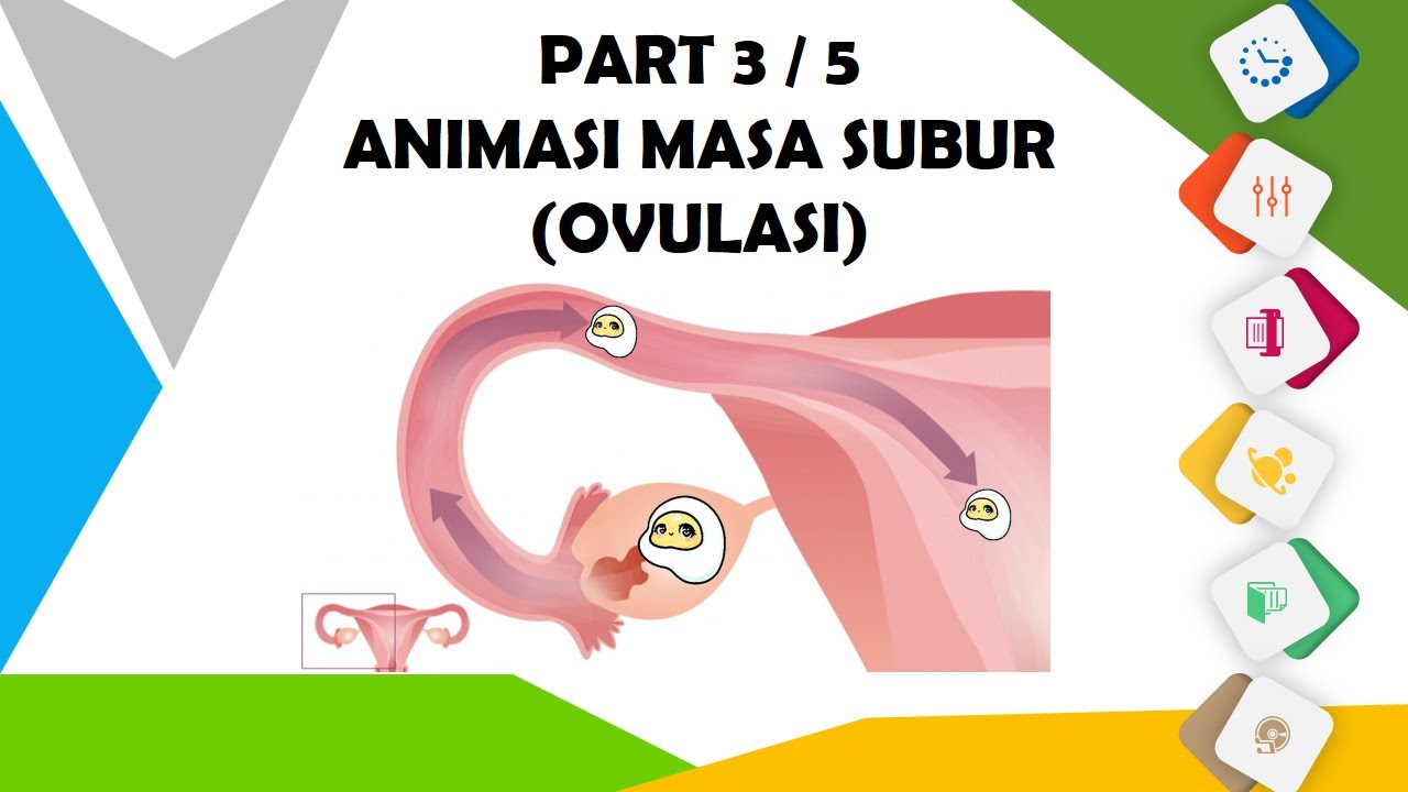 [Part 3/5] Animasi Masa Subur (Ovulasi) | Kesmas Biosters - Video Penyuluhan Kesehatan