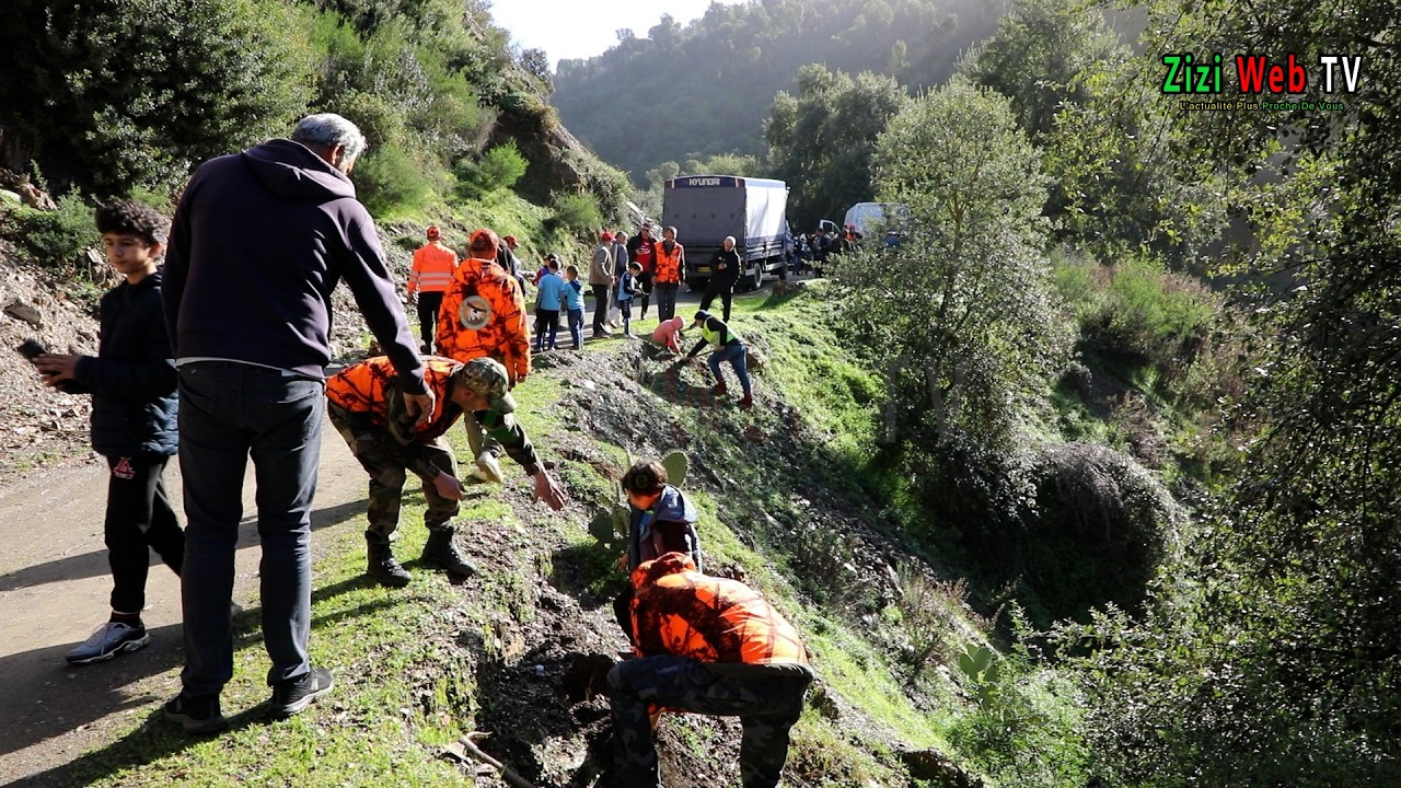 Reboisement Et Plantation D’Arbres à Ath Zmenzer à Tizi-Ouzou à L’occasion De Yennayer 2975 …