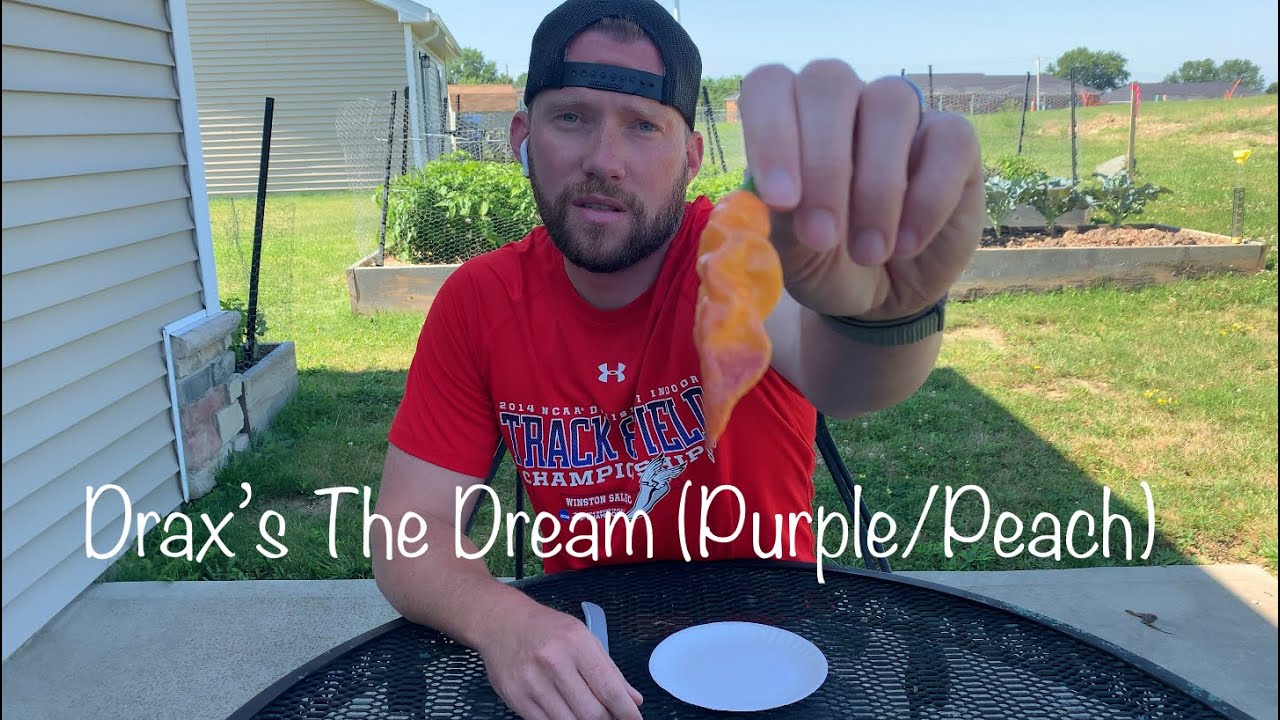 Drax Diego's The Dream (Purple/Peach) Pepper Review