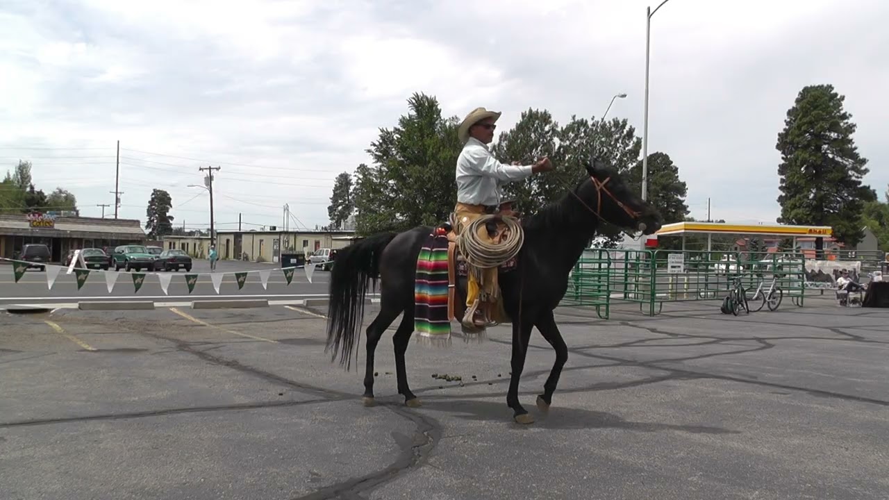Spanish Vaquero/Buckaroo Demonstration @ Cal-Ranch Stores