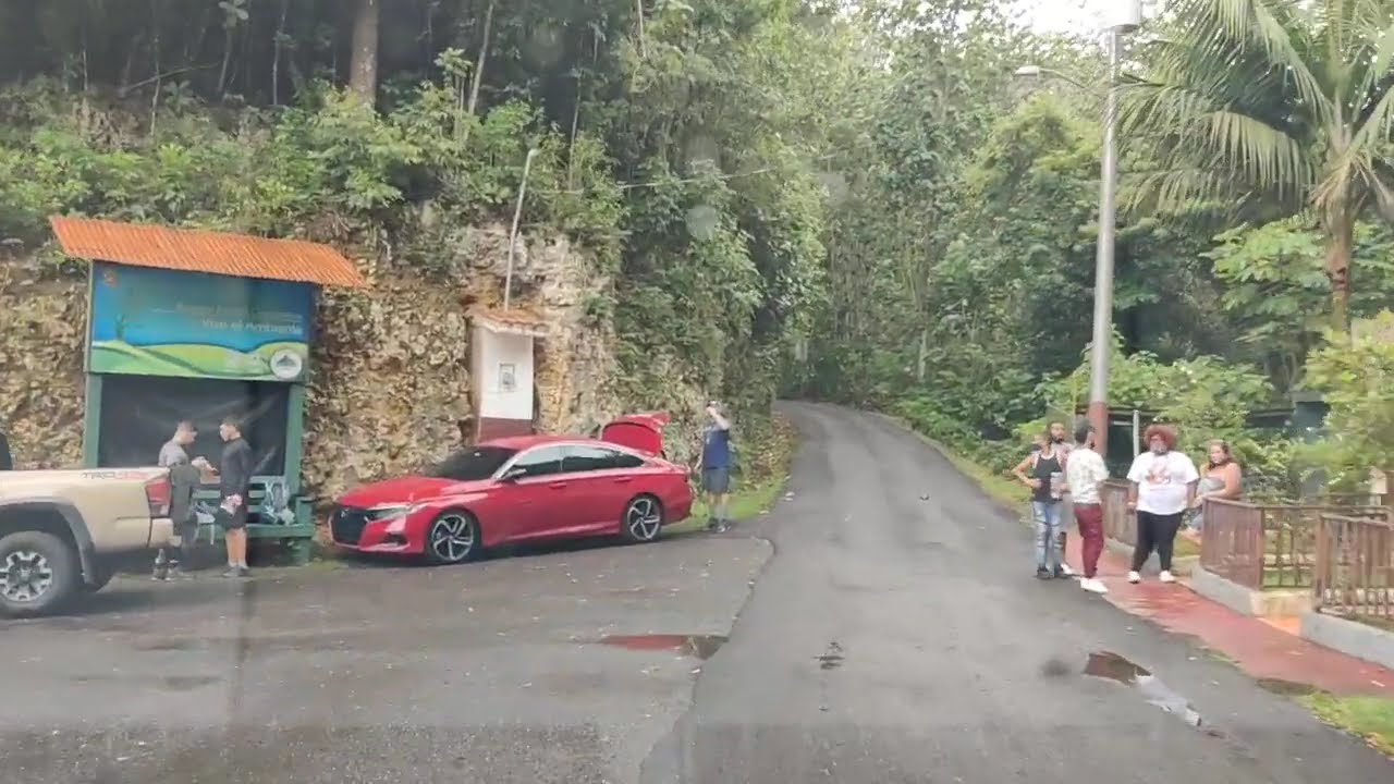 Bosque Guajataca y Barrio Robles de San Sebastian, P.R..