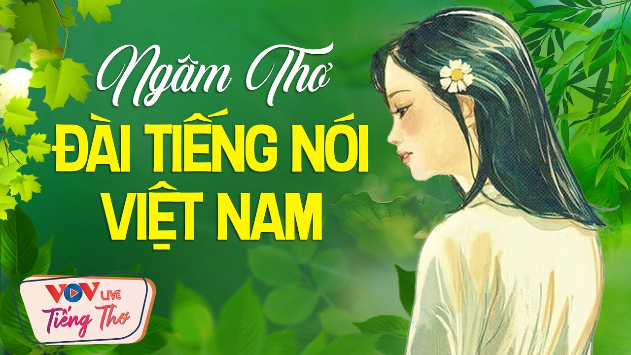 Ngâm Thơ Đêm Khuya Đài Tiếng Nói Việt Nam Những Vần Thơ Hay Nhất
