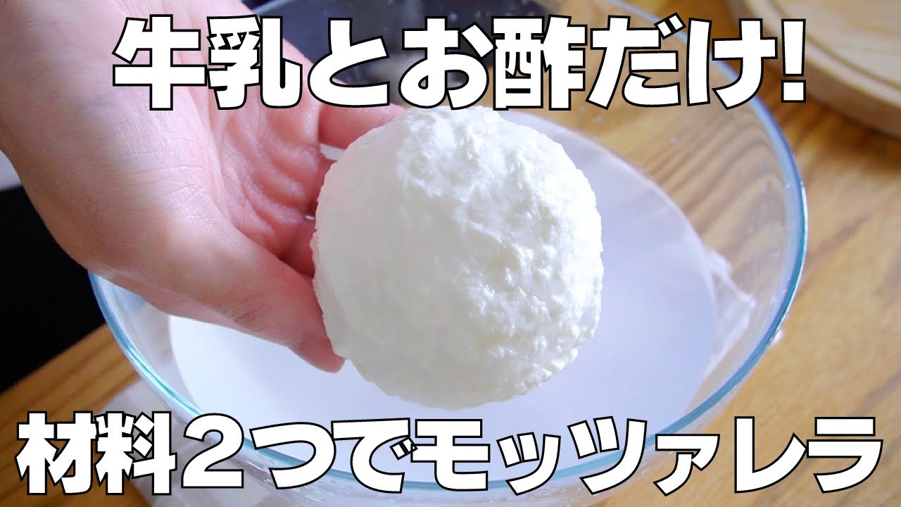 【材料2つ】牛乳とお酢だけ！モッツァレラチーズ作り方！ / 【syun cooking】