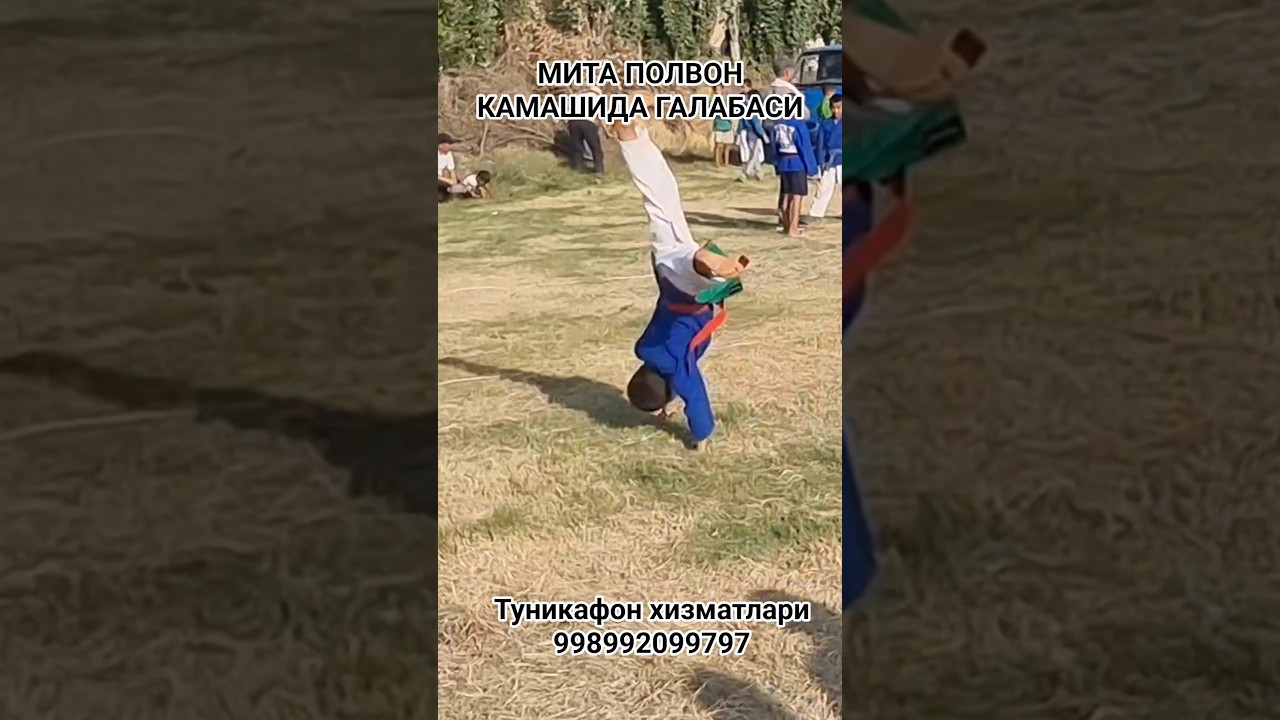 МИТА ПОЛВОН ЯНА ТРЕНДДА #чеченскаямелодия