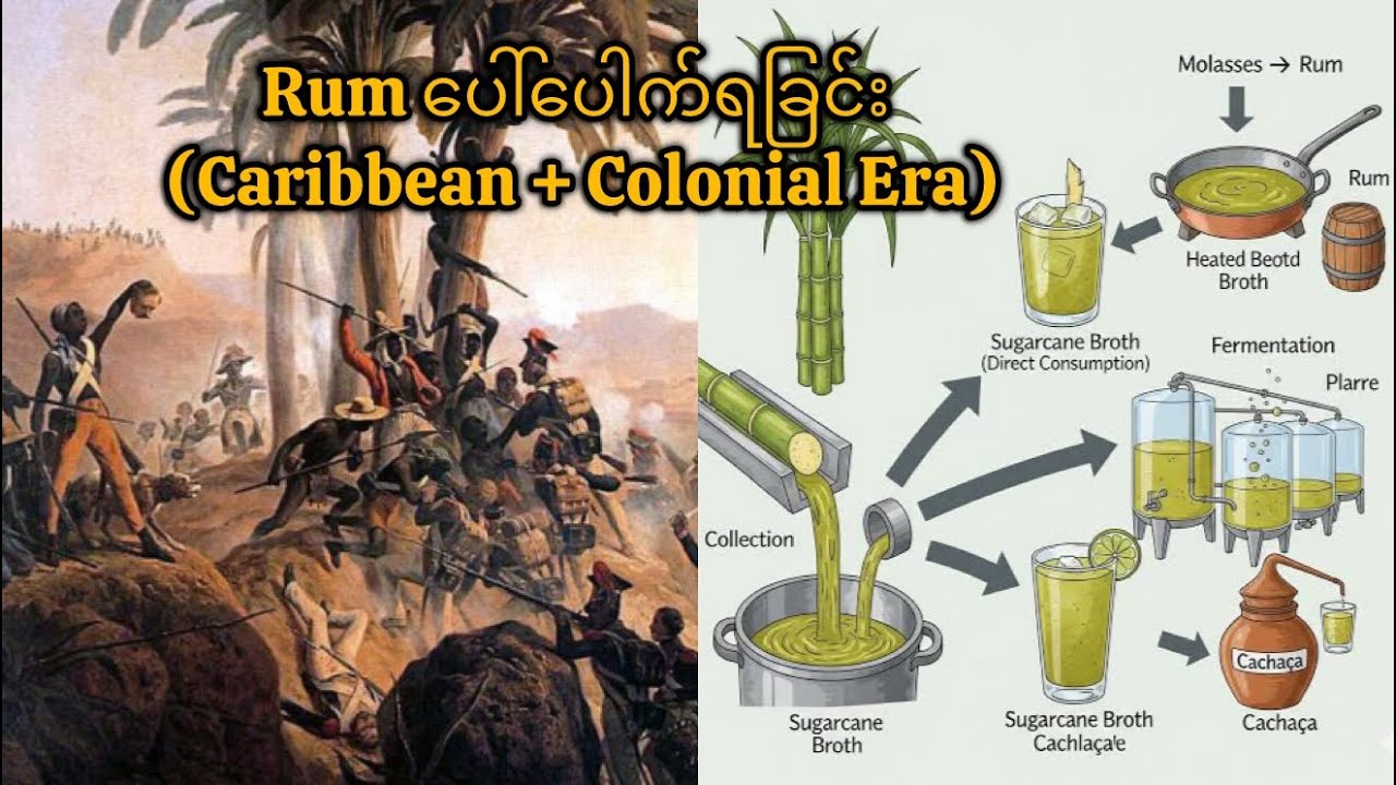 Rum ပေါ်ပေါက်ရခြင်း (Caribbean + Colonial Era) #rumhistory #caribbean #myanmar 