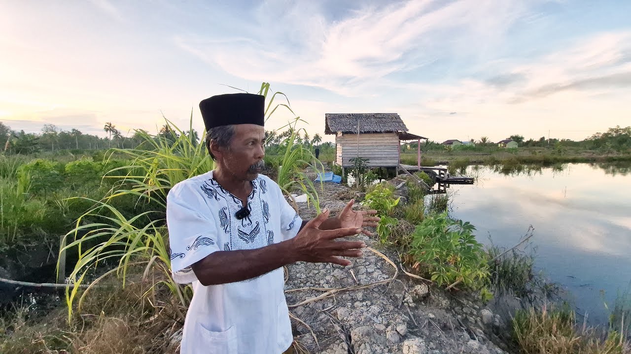 BERKAH DARI LAHAN EKSTRIM, PAK KUMIS SIAP JADI  PETAMBAK UDANG! TRANSMIGRAN MADURA DI KALIMANTAN