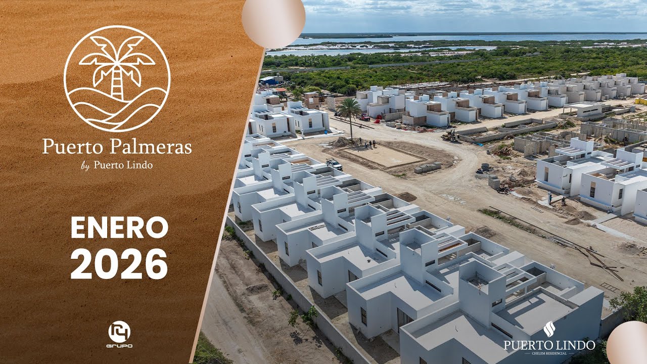 Palmeras 2026 01 Enero