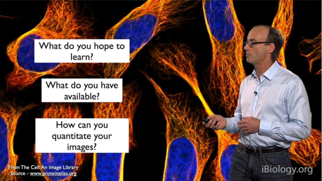 Microscopy: Choosing the Right Microscopy Technique (Ron Vale)