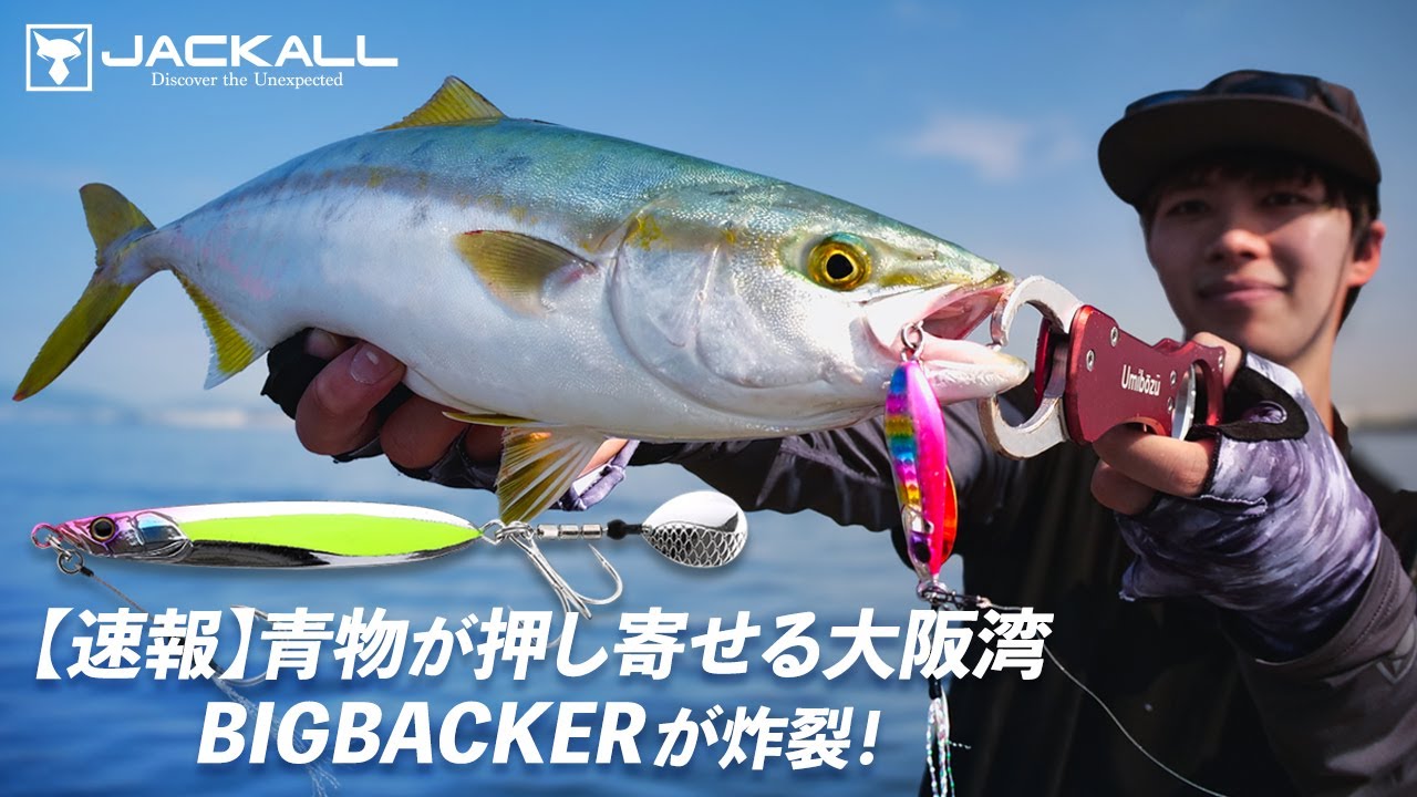 青物が押し寄せる大阪湾 BIGBACKERが炸裂！/ 金井光輝 -- 南港新波止