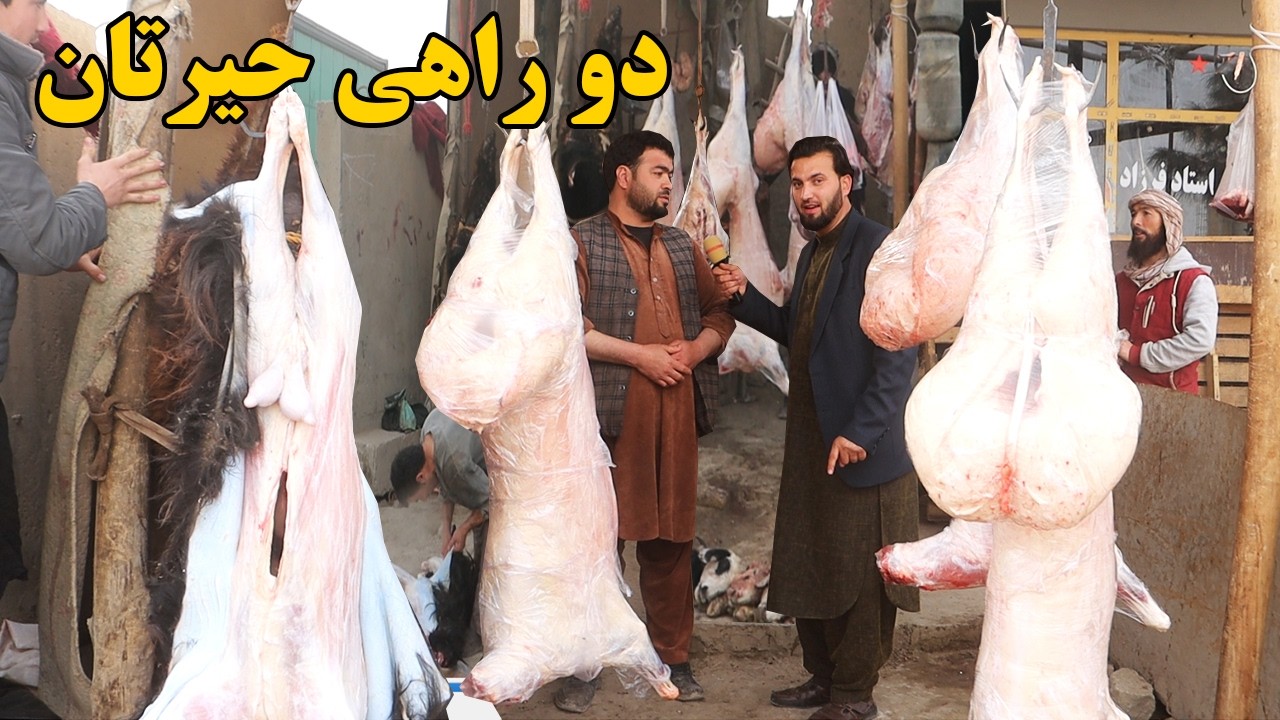 گزارش افغان مایک: دو راهی حیرتان، تغیرات جدید، قیمت مواد خوراکی،گوشت، مصروفیت وطندار، Afghan mic