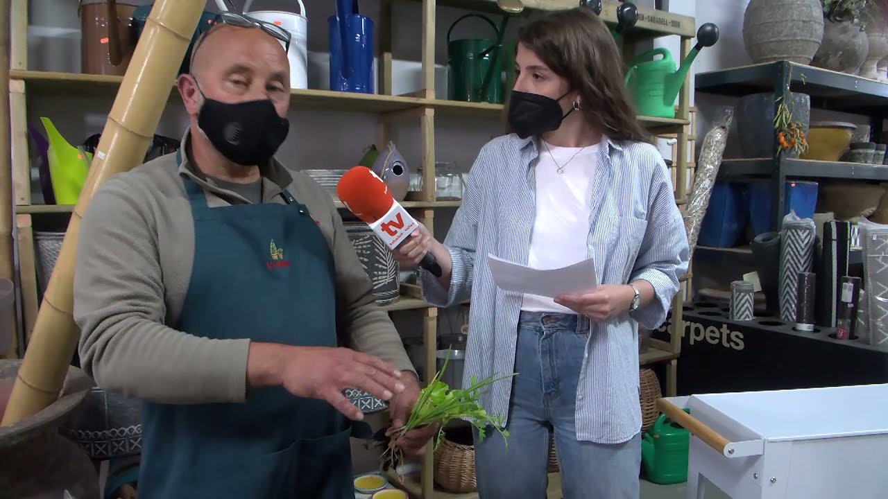 Sense emissions, agricultura per a tothom amb Anna Gras d’Espigoladors