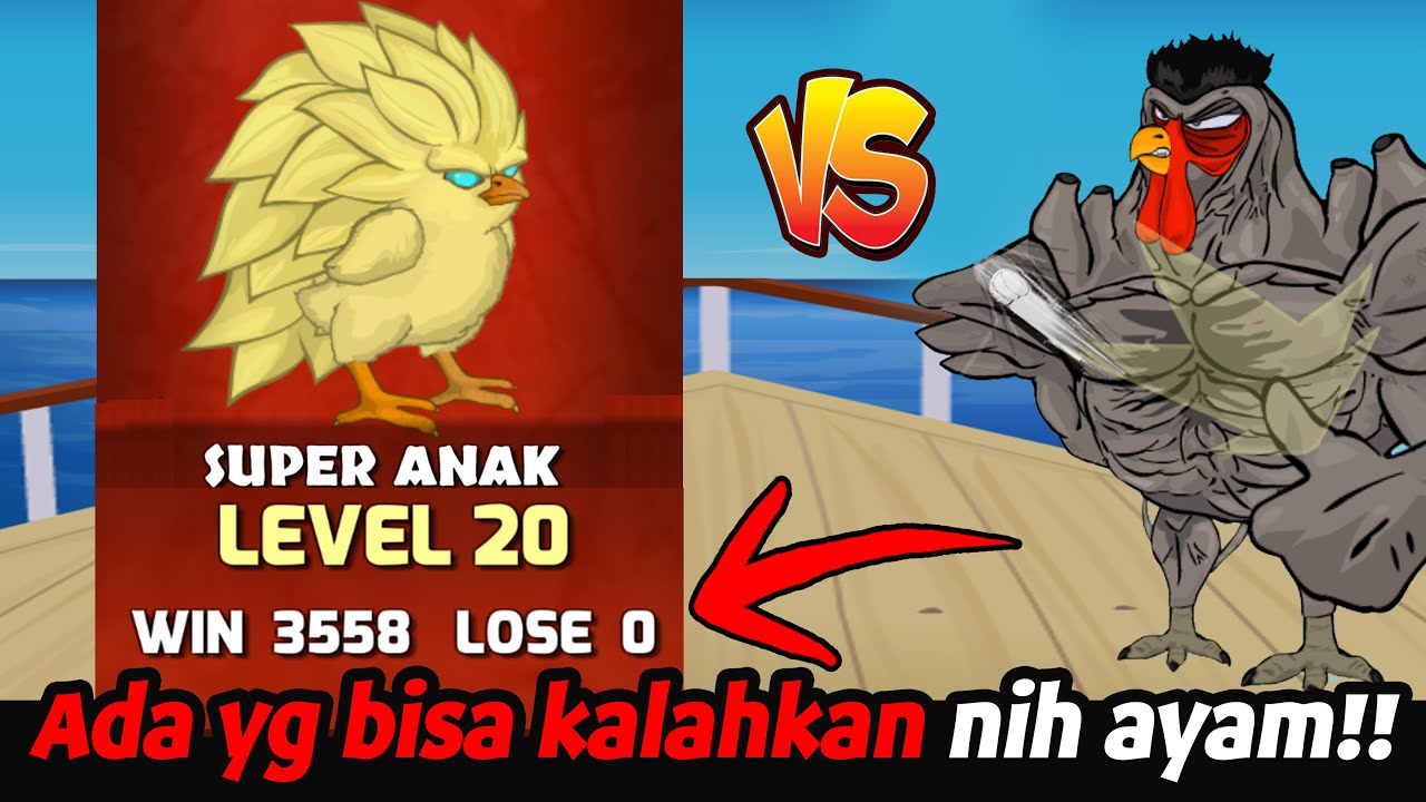 ADA TIDAK! YG BISA KALAHKAN AYAM Super ANAK AYAM (Sisiw 3)- Manok na Pula