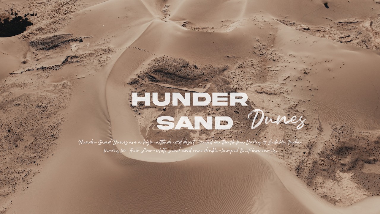 Hunder Sand Dunes | A Desert Out of This World! | Ladakh