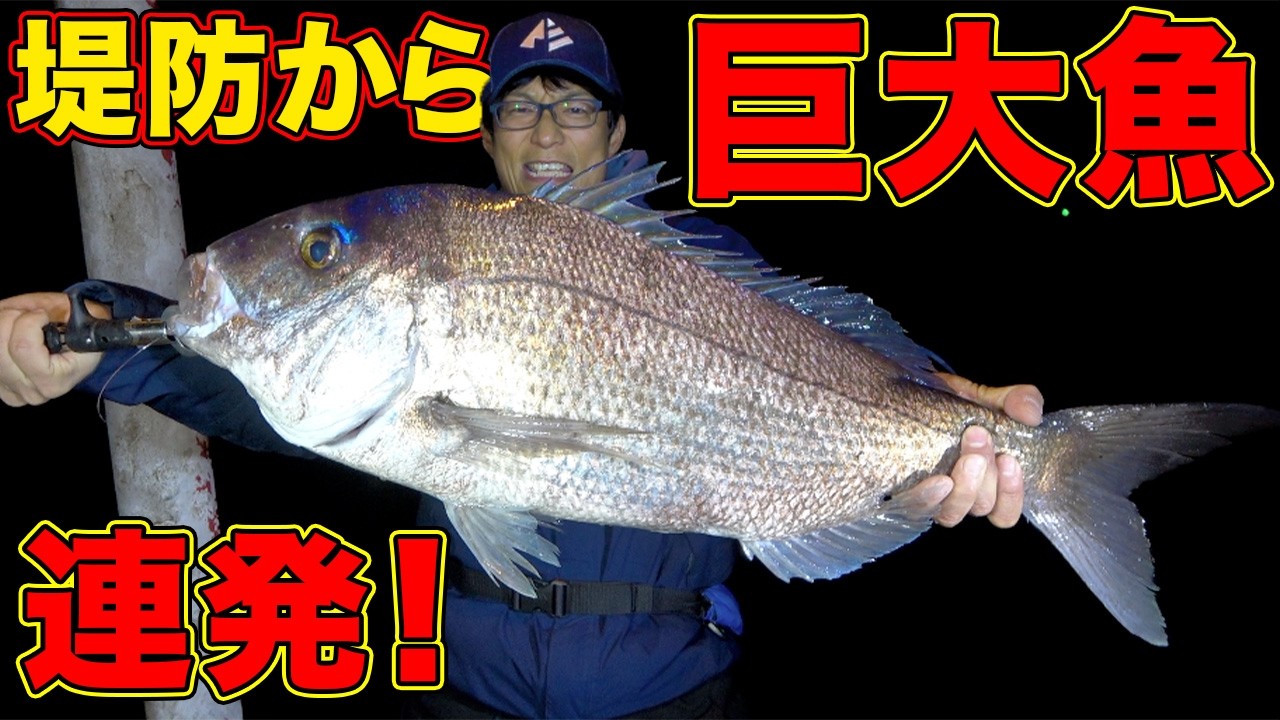 【離島遠征】夜の堤防は巨大魚の巣窟！？巨真鯛現る！！