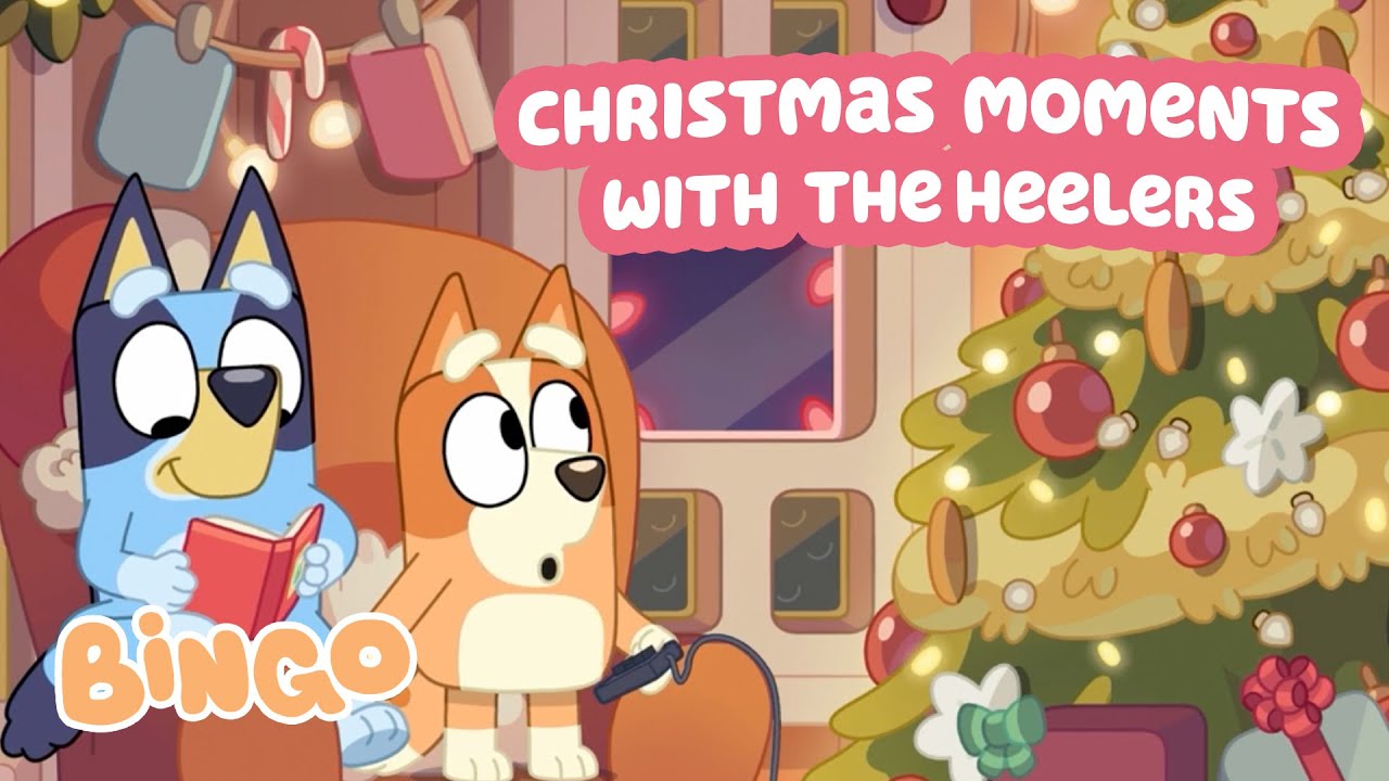 Christmas with the Heelers 🎄🧡 | Bingo - Official Channel