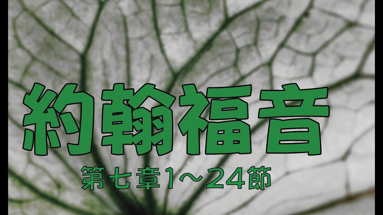 2026.3.11 約翰福音七章1～24節