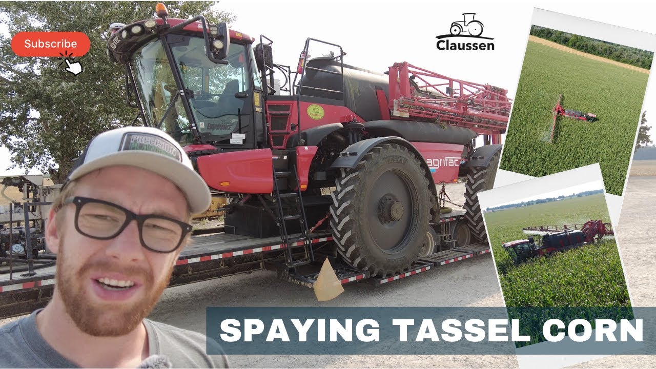 Spaying tassel corn with Agrifac