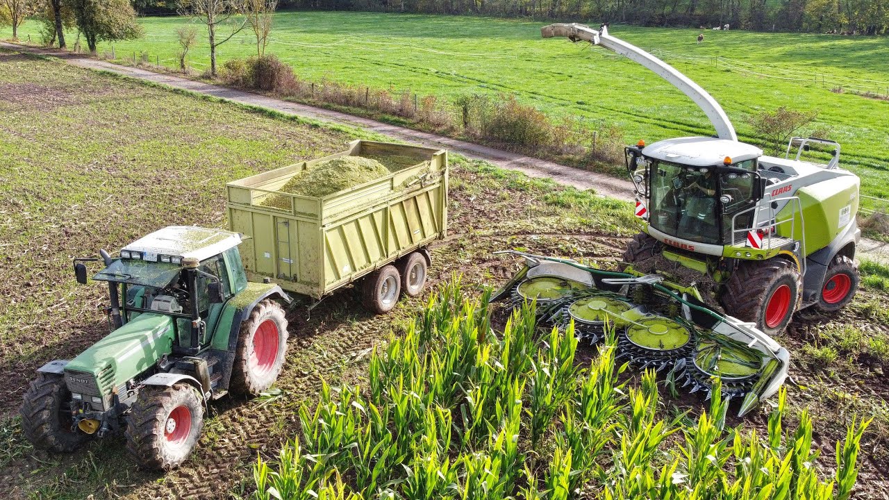 Fendt Favorit Power beim Mais Häckseln auf dem Kirbachhof | Lohnunternehmen Antritter im Einsatz!!!