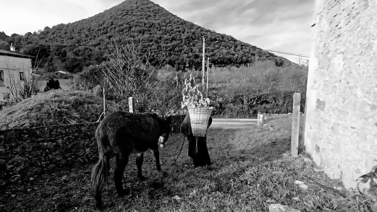 Pequeñas historias de una ermita en ruinas’ parte III