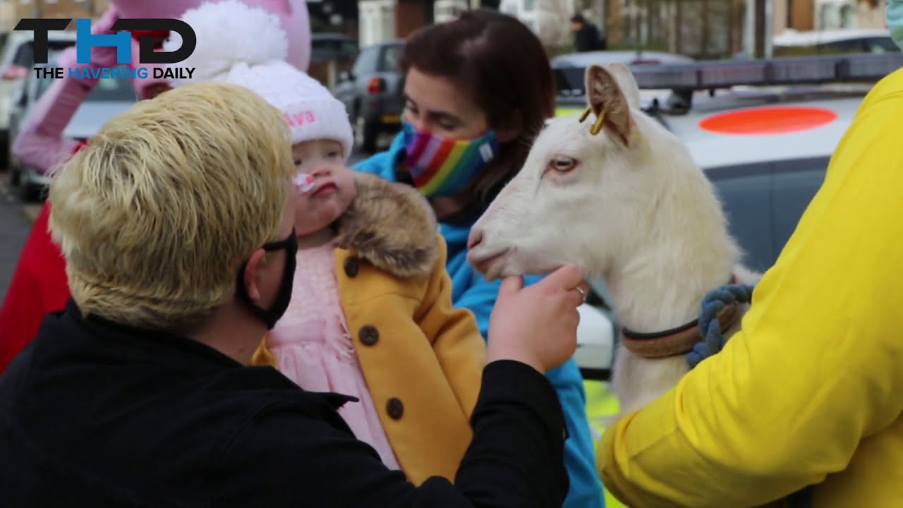 Ava couldn't go to the farm, so the farm came to Ava