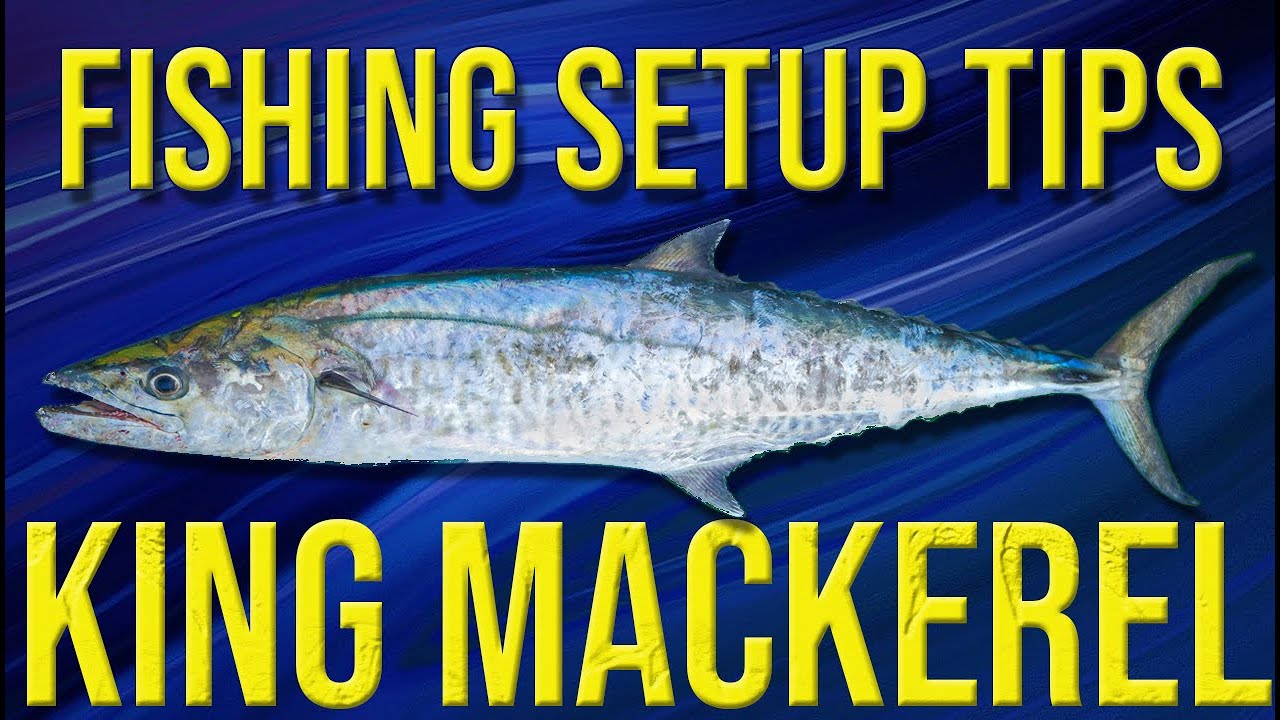 Fishing Setup for King Mackerel (King Fish)